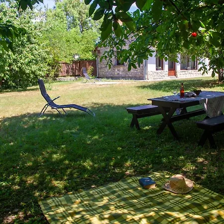 Apartment Fonix Haz